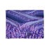 Provence Lavender Fields Seamless Pattern — 50×60 Plush Throw Blanket — Full Spread Plush Fleece Artwork View
