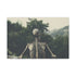 Skeleton with Tree Growing from Spine — 24×16 Canvas Wall Art — Front Gallery-Wrapped Canvas View