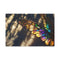 Solar Wings Casting Prism Shadows (Edition II) — 24×16 Canvas Wall Art — Front Gallery-Wrapped Canvas View