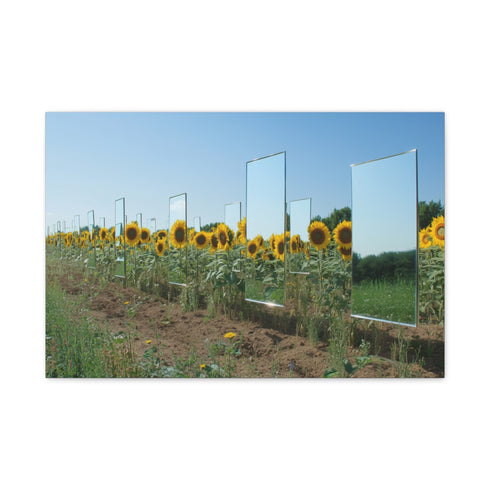 Sunflower Field with Floating Mirrors — Canvas Wall Art — Front Gallery-Wrapped Canvas View