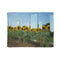 Sunflower Field with Floating Mirrors — 50×60 Plush Throw Blanket — Full Flat Artwork View