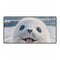 Pure White Arctic Harp Seal Pup in Snow — XXL Gaming Desk Mat — Full Top-Down Artwork View