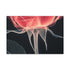 Luminous Translucent Crimson Rose X-Ray Art — 24×16 Canvas Wall Art — Front Gallery-Wrapped Canvas View