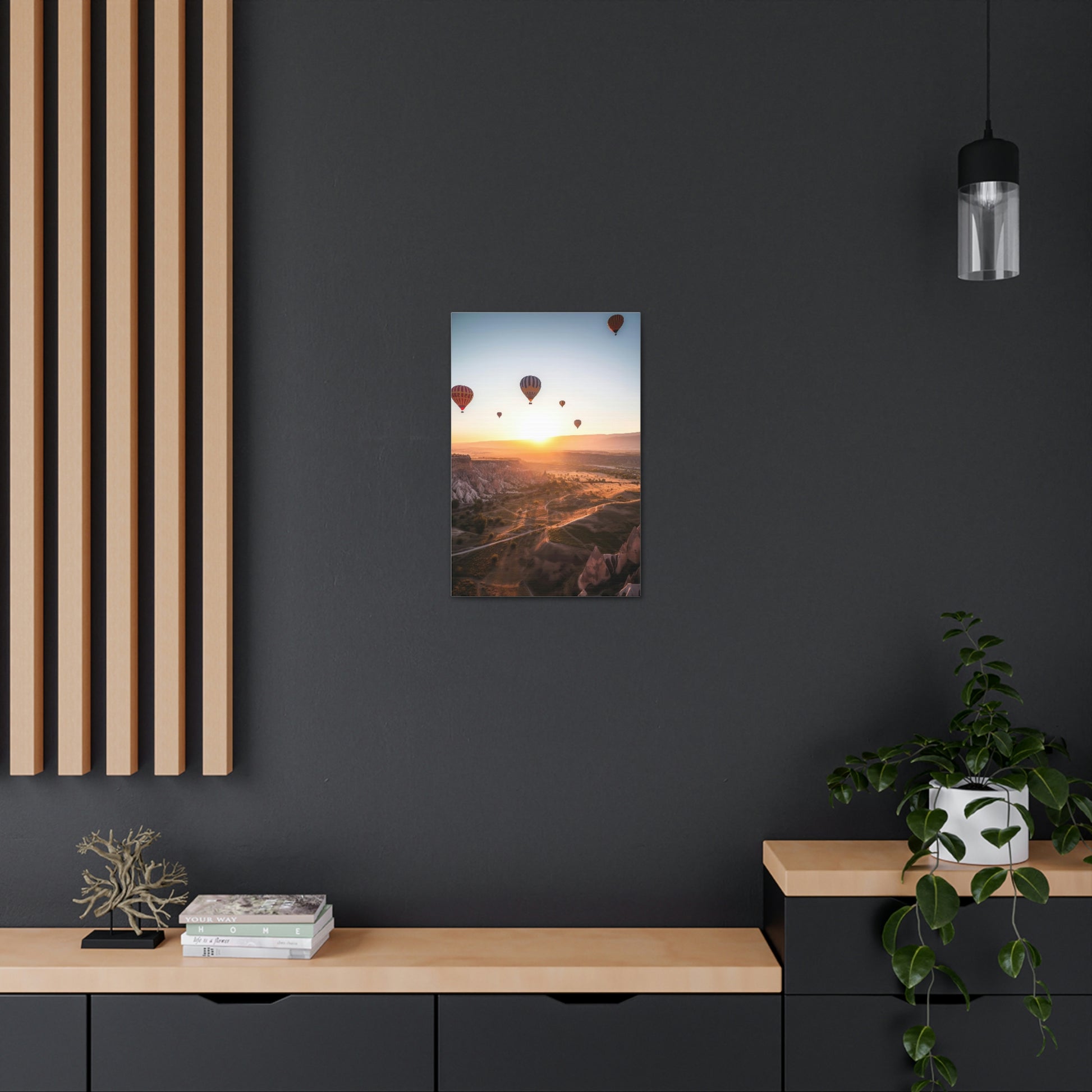 Dark Slate Gray Air Balloons Canvas