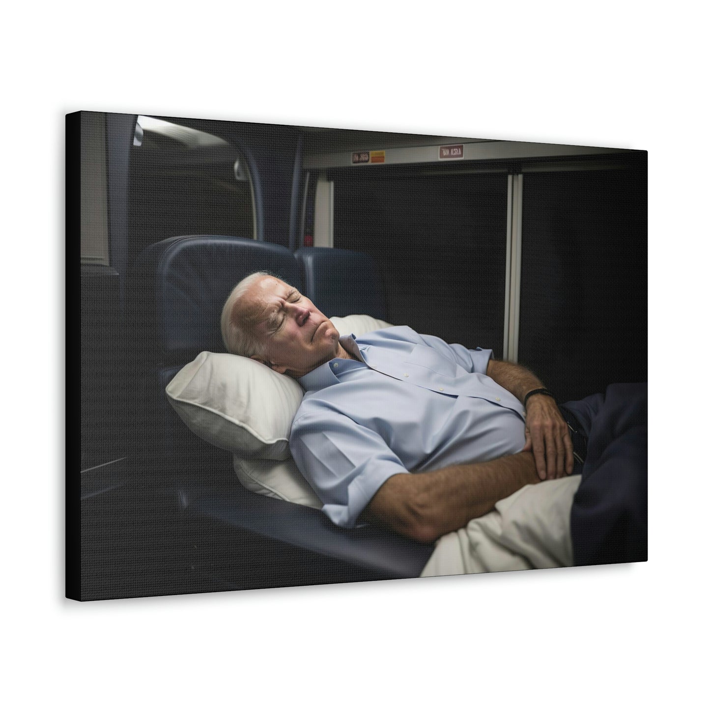 Dark Slate Gray Presidential Vision: Joe Biden Canvas Print for History Buffs